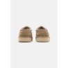 UGG TASMAN Pantuflas antilope