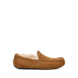 PANTUFLAS HOMBRE ASCOT Castañas