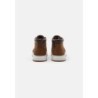 Timberland MAPLE GROVE Zapatillas altas brown