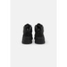 Timberland FIELD TREKKER Zapatillas altas black