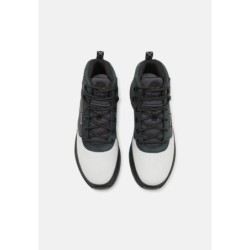 Timberland FIELD TREKKER Zapatillas altas light grey