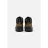 Timberland FIELD TREKKER Zapatillas altas olive/black