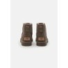 UGG CLASSIC MINI II Botines bajos burnt smoke plume